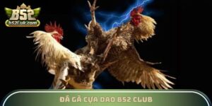 Đá Gà Cựa Dao B52 Club