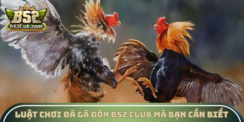 Luật chơi Đá gà đòn B52 Club mà bạn cần biết
