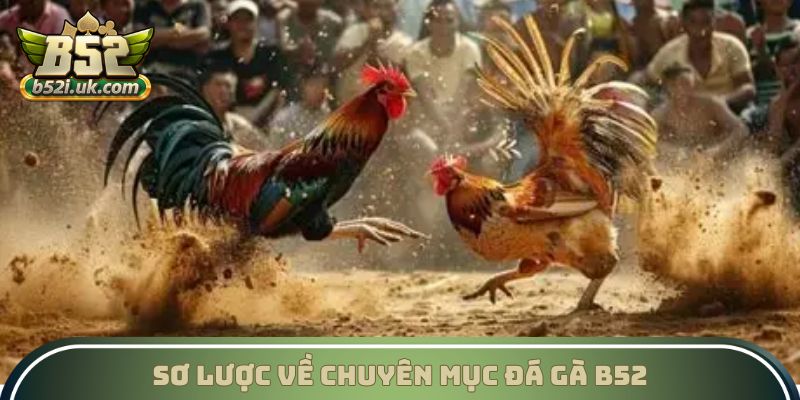 Sơ lược về chuyên mục Đá gà B52