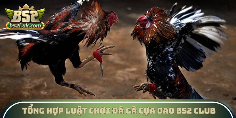Tổng hợp luật chơi Đá gà cựa dao B52 Club